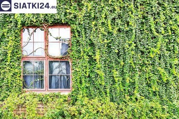 Siatki Dabrowa Tarnowska - Siatka z dużym oczkiem - wsparcie dla roślin pnących na altance, domu i garażu dla terenów Dąbrowy Tarnowskiej
